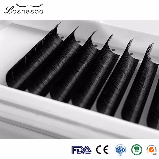 S Lashes Private Label Cílios de alta qualidade Vison Volume Extensão de cílios